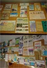 A selection of Asian Green Maps in the Archive