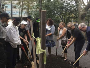 Planting trees is critical to climate health!