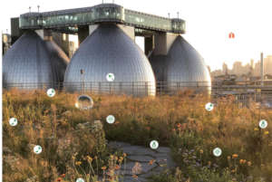 Newtown Creek Alliance's cool new use of our icons