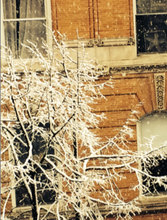 Last look at Winter out Green Map's window
