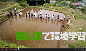 Traditional rice paddies are on the Green Map
