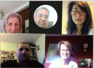 Green Mapmakers Advisory group meets online