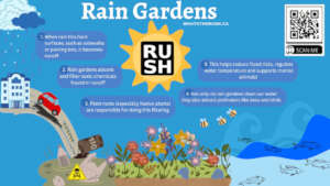 What's the Rush's 1000 Rain Garden Challenge