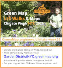 Explore climate & green culture on the LES