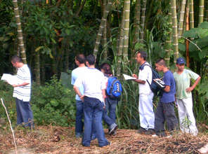 Latin American Youth Lead the Way