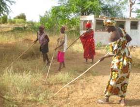 Clearing land for new garden beds