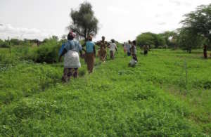 Women working in the Ouarkhokh garden site