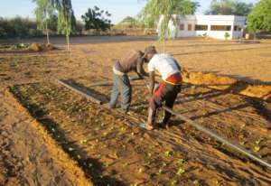 Field technicians install pipes in the garden site