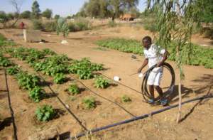 Installation of pipes throughout the garden site