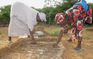 Sowing seeds for new vegetable crops