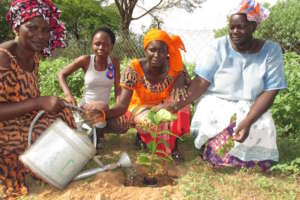 Women plant fruit and nut trees in the garden site