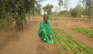 Lettuce is in demand in rural Senegal!