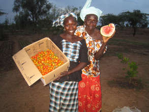 Women grow tomatoes, watermelon, and other crops