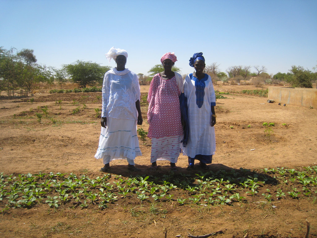 Food Security for 1,800 Villagers in Senegal