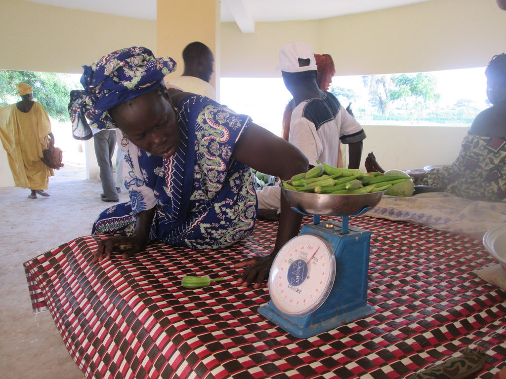 Food Security for 1,800 Villagers in Senegal