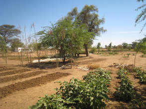 The Ouarkhokh garden is currently hand watered