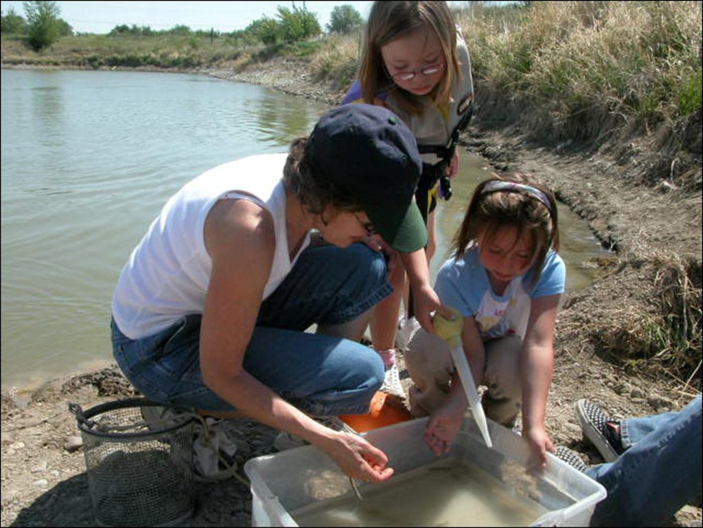 Help Yellowstone-Area Youth Discover Nature!