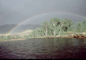 Rainbow over Sun-Drenched River & Cottonwoods