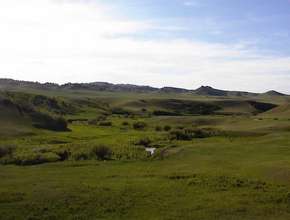 Rolling Grassland with Creek