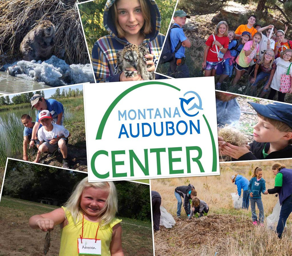 Help Yellowstone-Area Youth Discover Nature!