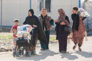 Families with Items from the Var City Distribution