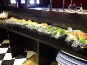 Another batch of produce to feed the hungry.