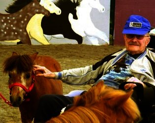 Equine Therapy for 20 Veterans in Hopkinton NH