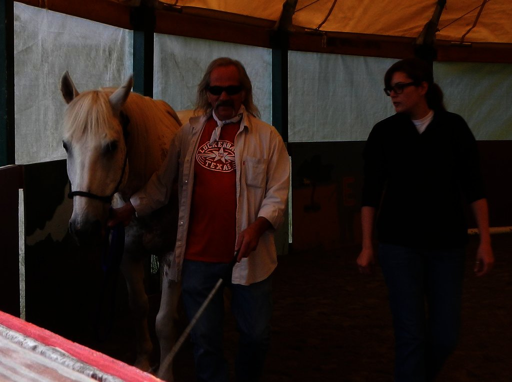 Equine Therapy for 20 Veterans in Hopkinton NH