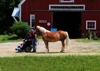 Equine Therapy for 20 Veterans in Hopkinton NH
