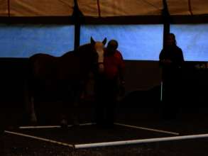 Ground work in the Dome