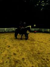 Uniformed Professionals 2014