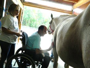 Grooming Rosie, getting ready to ride!
