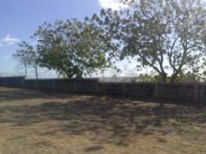 Land where library will be built