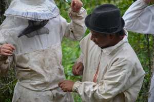 Bee Suits for Bee Tours