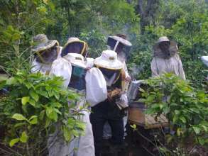 The Bee Boys with new protective gear and tools