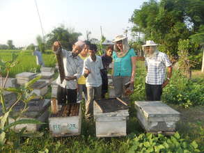 Bee Keeping in Chitawan