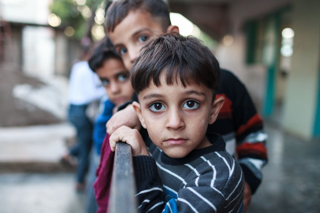 Give Support to 800 Syrian Refugee Families