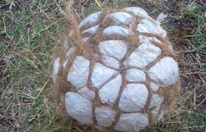 Making our own footballs