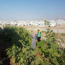 Gardening Activities