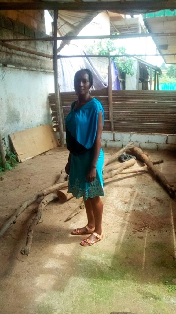 Eva's poultry before she received loan