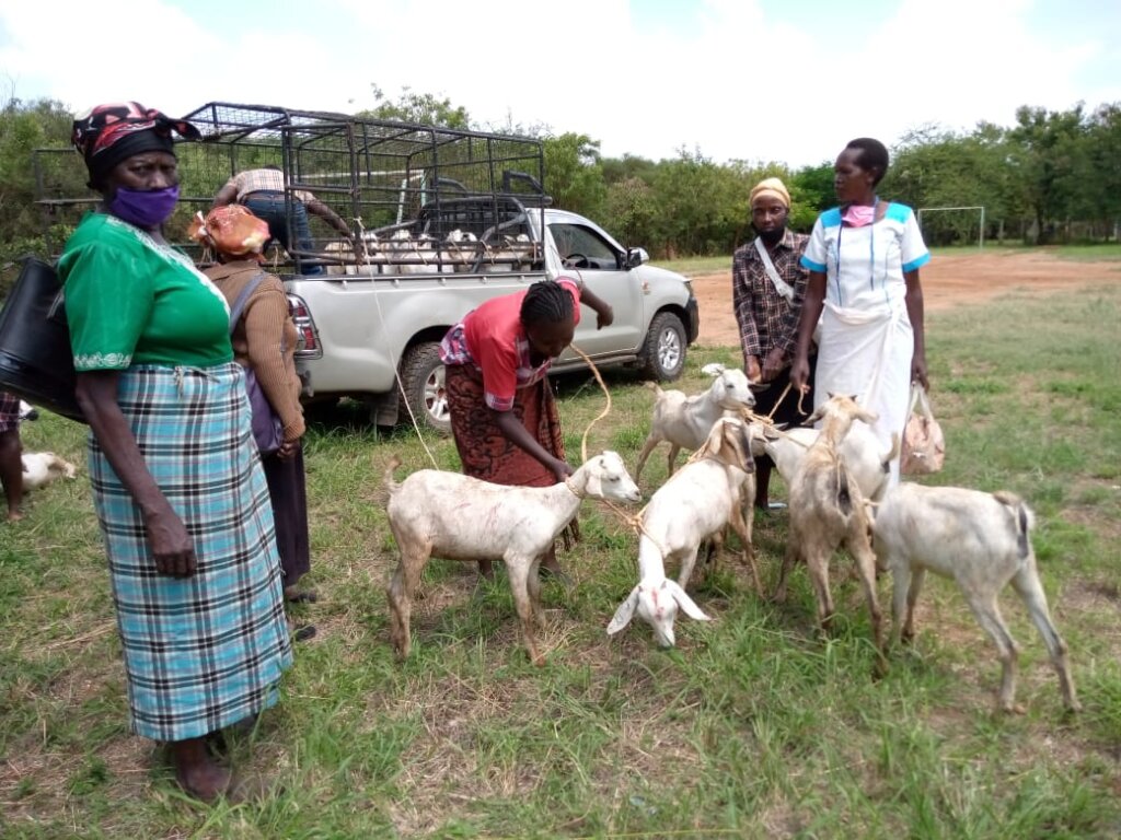 Guardians receiving new goats