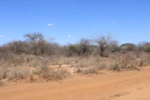 This region had just one day of rain last year.