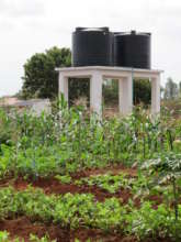 Garden plots and water storage