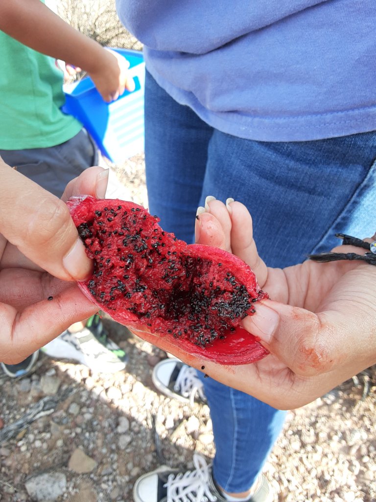 Close up of Bahidaj Fruit