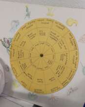 Tohono O'odham seasonal calendar wheel