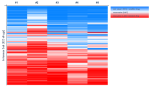 Heatmap of 5 NBL samples based on AUC