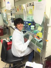 Performing experiments with NB cells