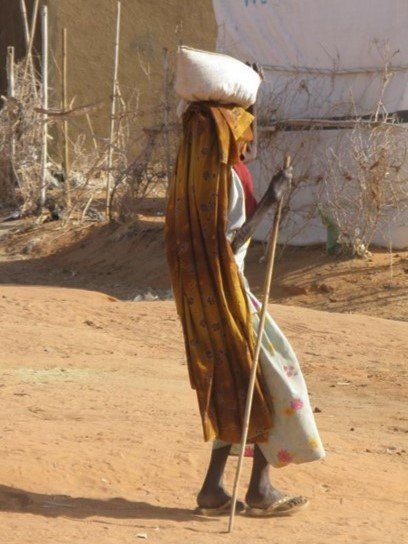 Eggs to feed hungry Grandmothers in Darfur