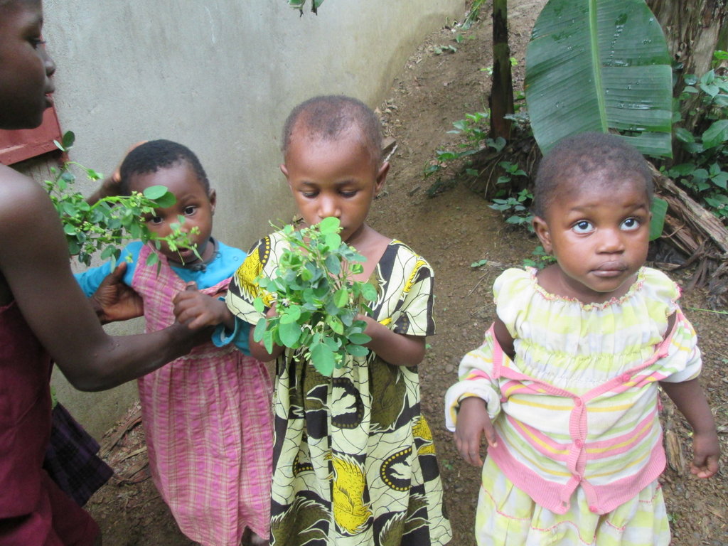 Fish To Keep an Orphanage Alive