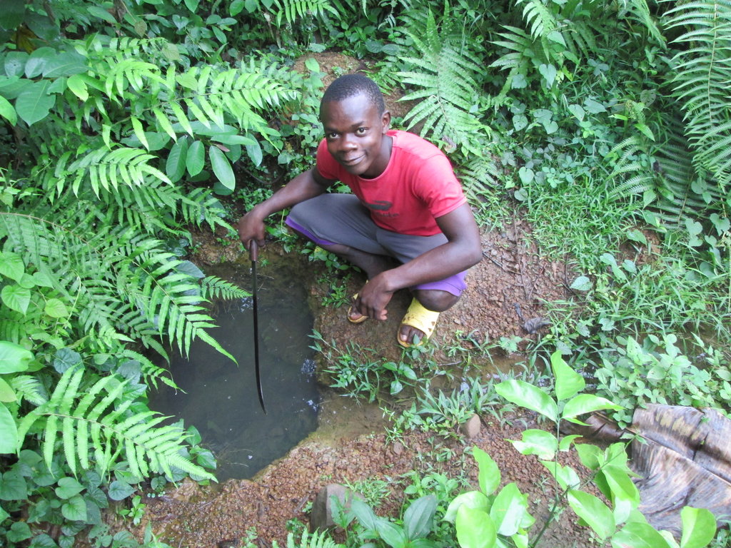 Fish To Keep an Orphanage Alive